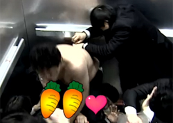 "당근의 습격!" <무한도전> 액션특집, 풍성한 몸개그로 '시청률↑'