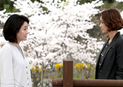 <여왕의 꽃> 김성령-김미숙 ‘꽃보다 악녀’ 대낮 공원에서의 은밀한 만남! 