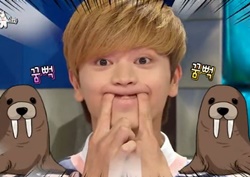 [라디오스타 리뷰] 육성재, 동물 동작 모사 개인기 펼치며 "규현 자리 노리나?"