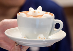 <마이 리틀 텔레비전> ‘커피에 곰이 빠졌네!’ 김구라씨 좋으시겠어요~