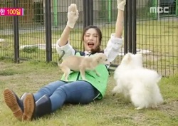 [우리 결혼했어요 리뷰] 육성재-조이, ‘100일 기념’ 유기견 봉사활동!