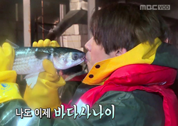 <무한도전> 광희, <고향이 좋다> 일일 리포터로 등장! 숭어와 뽀뽀까지~