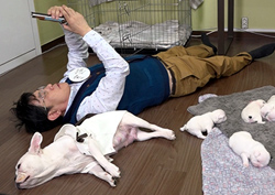 <마이 리틀 텔레비전> 이경규, 6마리 반려견과 함께 방송 최조 '눕방' 창조