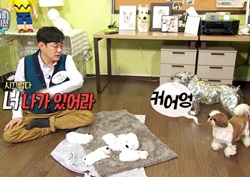 [마이 리틀 텔레비전 리뷰] "너 나가 있어!" 이경규, 개에 역정... 본격 눕방 시작! 