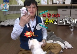 [마이 리틀 텔레비전 리뷰] 이경규, 갓 태어난 강아지 6마리 공개! '이름 공모'