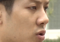 [금주의 움짤] '많이 미안할 때'는 이 움짤을 사용해보세요