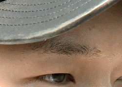 [금주의 움짤] '아무 생각이 없을 때'는 이 움짤을 사용해보세요