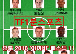 [TF1분스포츠] 베일·나니 포함! 유로 2016 '아까비 베스트 11'(영상)