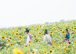 옥중화 진세연-최태준, 보물찾기 듀오 결성! '꽃길 비주얼' 눈길!