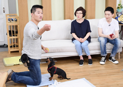 <마이 리틀 텔레비전> '개통령' 강형욱 무릎 꿇린 강아지의 정체는?  