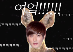 [영상] 강타 표 고라니 울음소리, 〈2016 DMC 페스티벌〉 가면 들을 수 있나요?