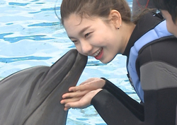 <우리 결혼했어요> 김진경, 돌고래 재롱에 "제일 귀여워~" 조타 질투심 폭발!