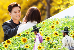 2016년 MBC 안방을 물들인 '사계절 데이트 장소 BEST4'는 어디? [소소(所所)한 그곳]