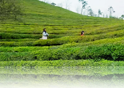 [소소(所所)한 그곳] 윤균상-이하늬, 인연의 노래가 펼쳐진 그곳, <역적> 