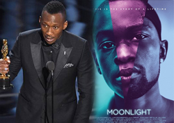 영화 <문라이트> 드라마틱한 3관왕, "한계 넘은 아름다운 결과"