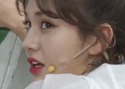 [금주의 움짤] '경고 할 때'는 이 움짤을 사용해보세요