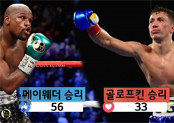  [TF라이브폴] 세기의 대결 전망! 63% "메이웨더 > 골로프킨"