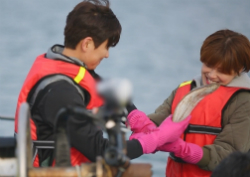 <우리 결혼했어요> 최민용, 어촌계장도 인정한 실력? 능숙한 손놀림에 장도연 깜짝!