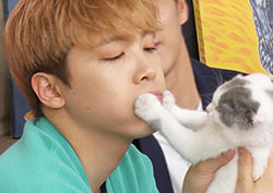 <마이 리틀 텔레비전> 이홍기-최종훈, '초보 집사'들의 고양이 방송