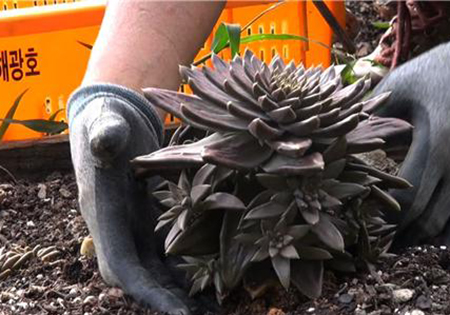 <리얼스토리 눈> 내조왕 남편과 사고왕 아내의 부부스토리 