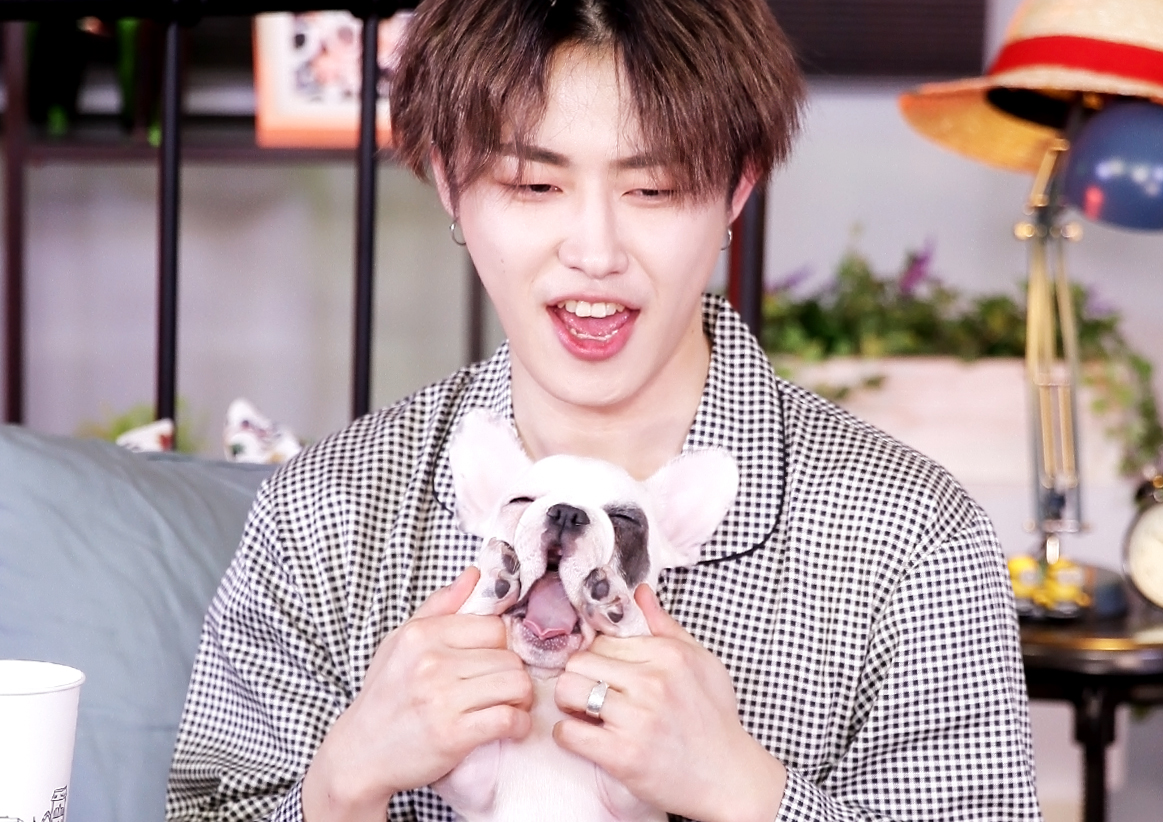 [비하인드②] 유권 반려견 뽀, #데뷔_신고식 #성공적 (해요TV-블락비 유권의 사생활)