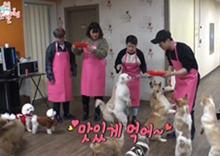 ‘전지적 참견 시점’ 박성광X병아리 매니저, 유기견 보호소 봉사 ‘훈훈’