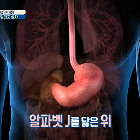 탈 났던 위(胃) 달래고 살자