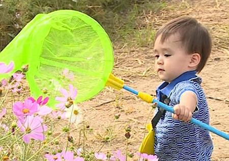 ‘슈돌’ 윌벤져스, 나무 위 개구리 풍선 구하기 대작전 “개구리야 돌아와”