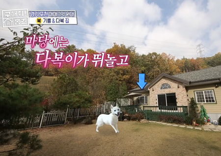 ‘구해줘! 홈즈’ 슬리피 반려견 퓨리가 골랐다! ‘다복이를 위한 집’