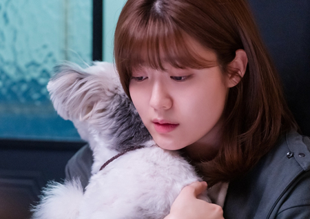 중독성 甲 ‘365’ 인기 비결 세 가지 #인생리셋 #초스피드전개 #웰메이드