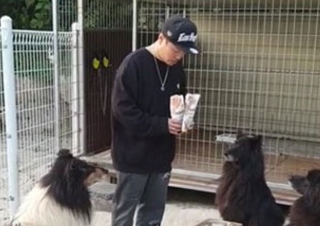 김민교, 연예인 반려견? 인스타 속 대형견들 비교해보니