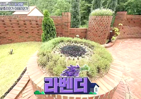 ‘구해줘! 홈즈’ “이태리 느낌!” ‘문호리인가 이태리인가 하우스’ 등장에 ‘술렁’