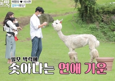 정동원·나태주→이필모·서수연, '아내의 맛' 웃음 전담마크