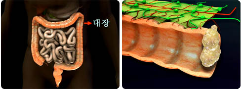 생활에 꼭 필요한 의학지식