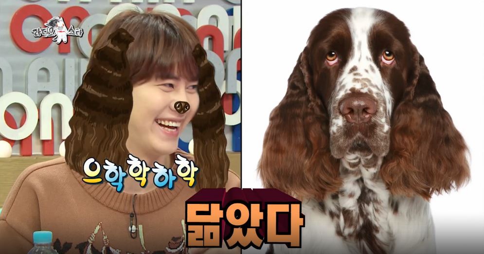 [라디오스타 리뷰] ‘개통령’ 강형욱, 윤종신-김구라-규현 닮은꼴 개 공개!