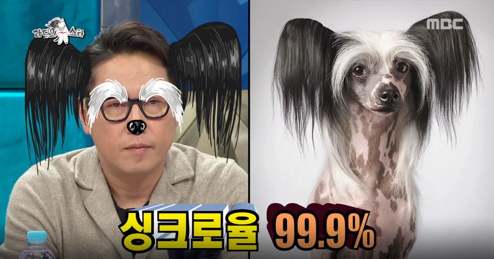 [라디오스타 리뷰] ‘개통령’ 강형욱, 윤종신-김구라-규현 닮은꼴 개 공개!