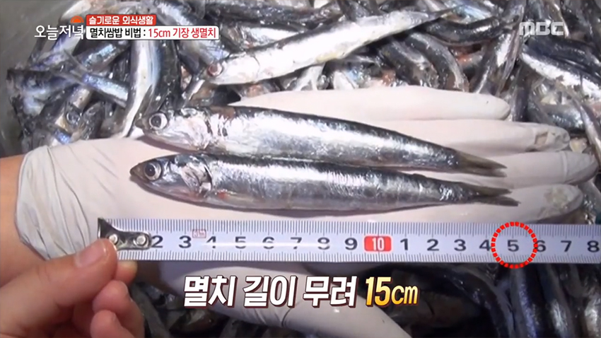 제철 맞은 봄 멸치로 만든 '멸치쌈밥'