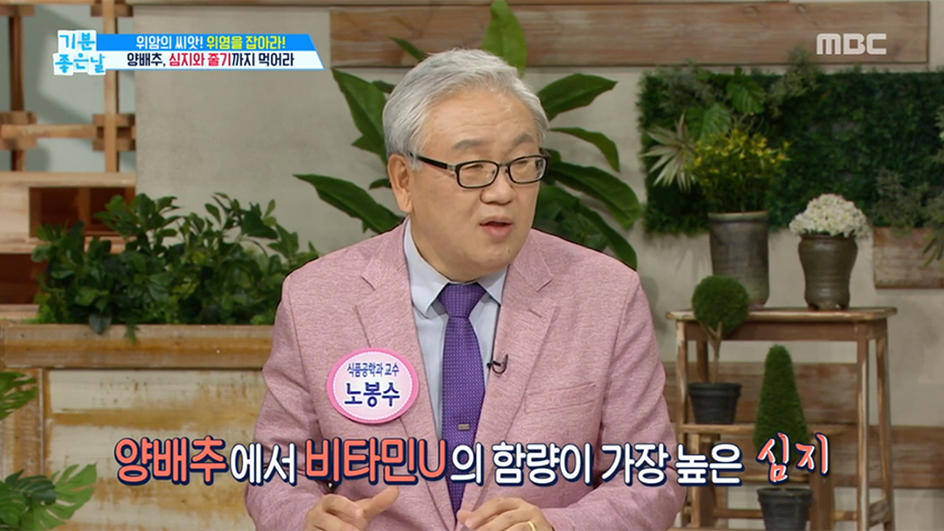 먹기 힘든 양배추? 똑똑하게 먹자!