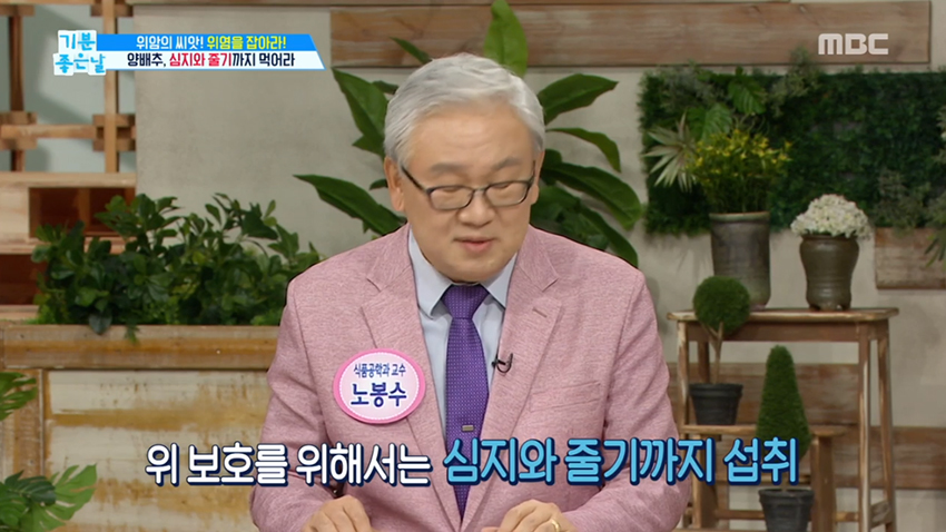 먹기 힘든 양배추? 똑똑하게 먹자!