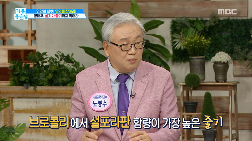 먹기 힘든 양배추? 똑똑하게 먹자!