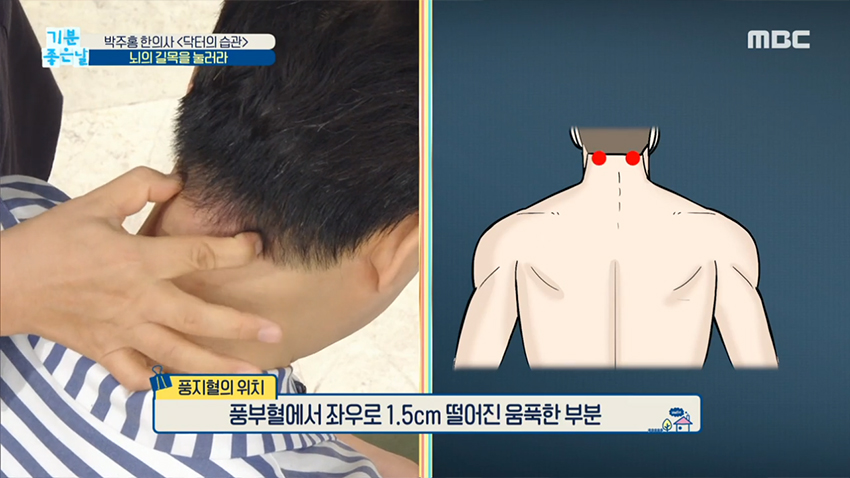 뇌혈관이 지나가는 '풍부혈','풍지혈' 두 개의 길목을 눌러라!
