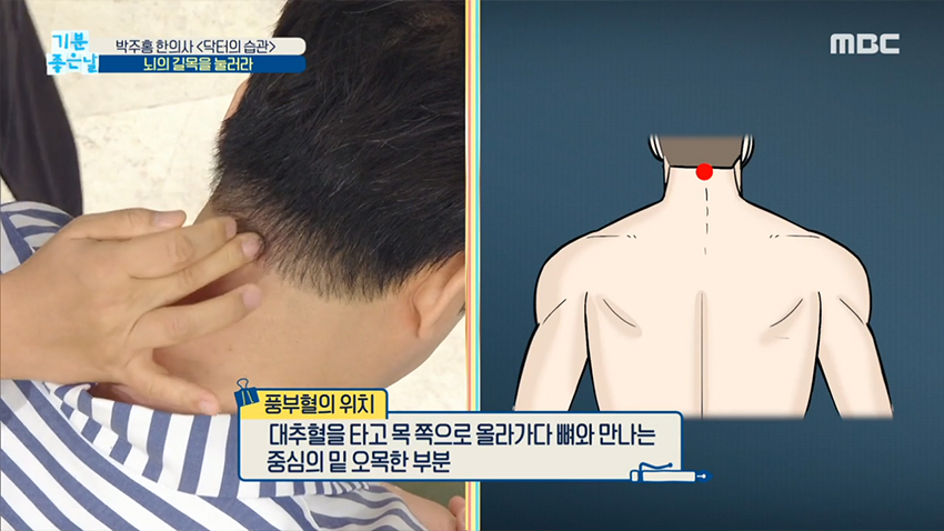 뇌혈관이 지나가는 '풍부혈','풍지혈' 두 개의 길목을 눌러라!