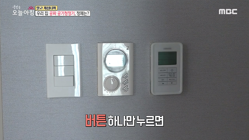 우리 집 공짜 공기청정기, 정체는?