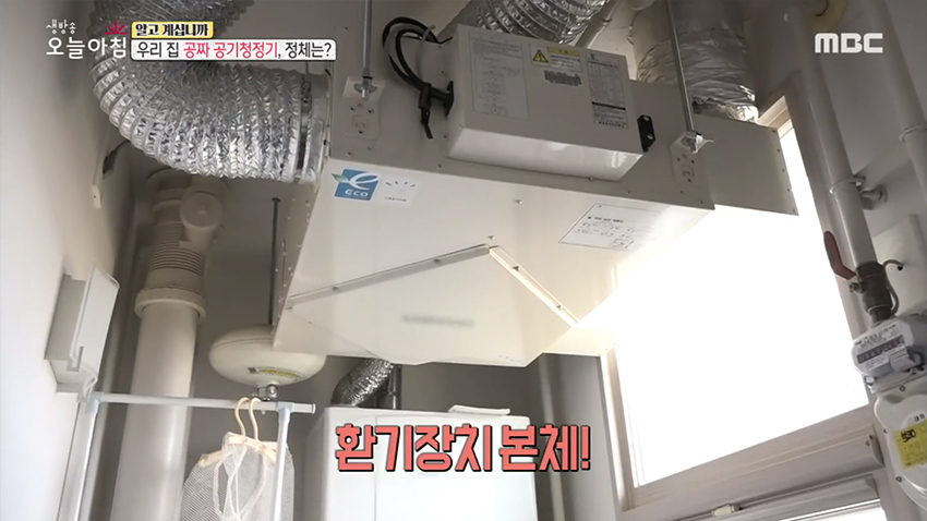 우리 집 공짜 공기청정기, 정체는?