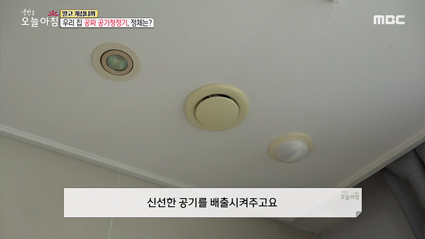 우리 집 공짜 공기청정기, 정체는?