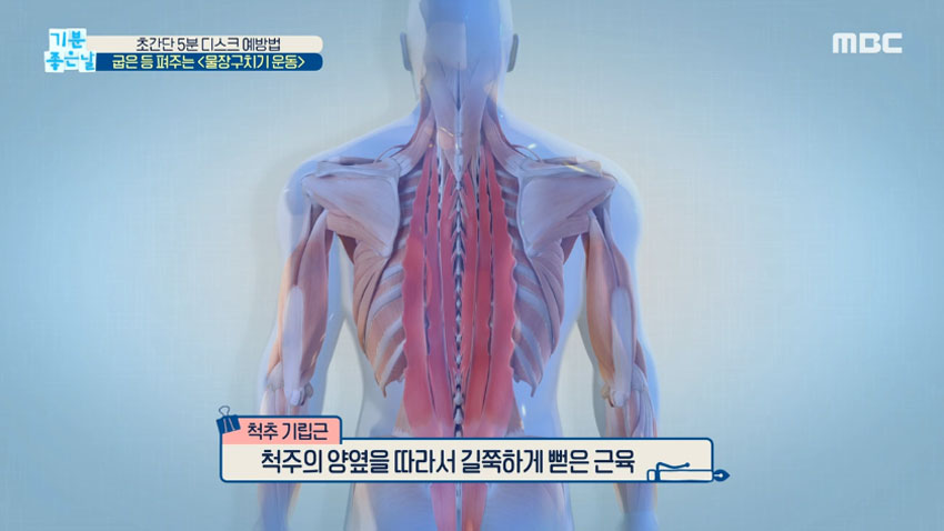 초간단 5분 디스크 예방법! 굽은 등 펴주는 ＜물장구치기 운동＞