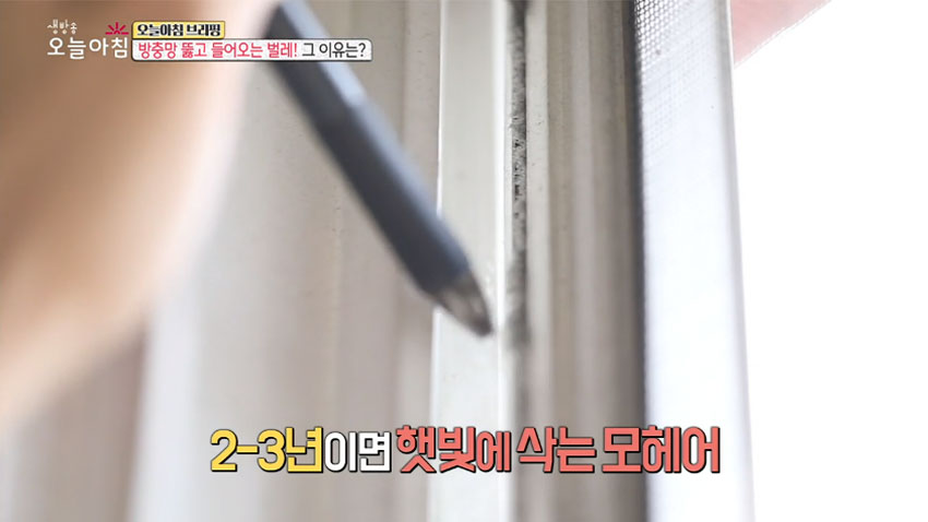 벌레 완벽 차단! '셀프 방충망 보수' 꿀팁 모음!