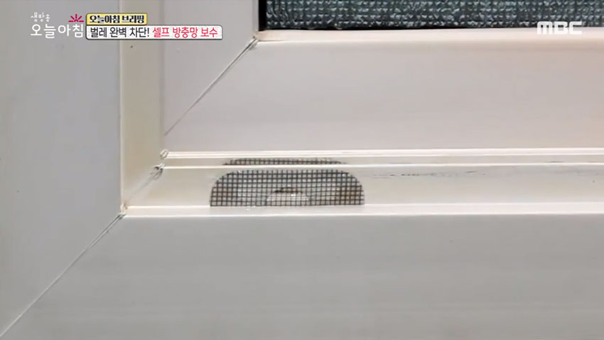 벌레 완벽 차단! '셀프 방충망 보수' 꿀팁 모음!