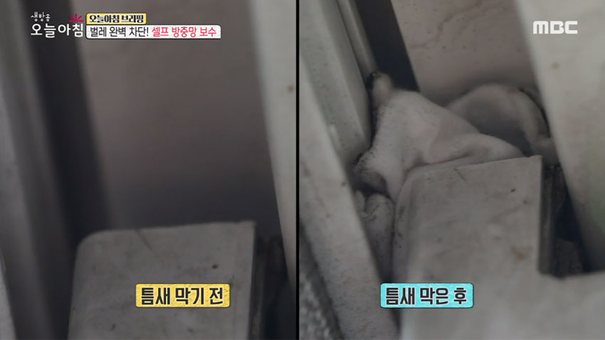 벌레 완벽 차단! '셀프 방충망 보수' 꿀팁 모음!