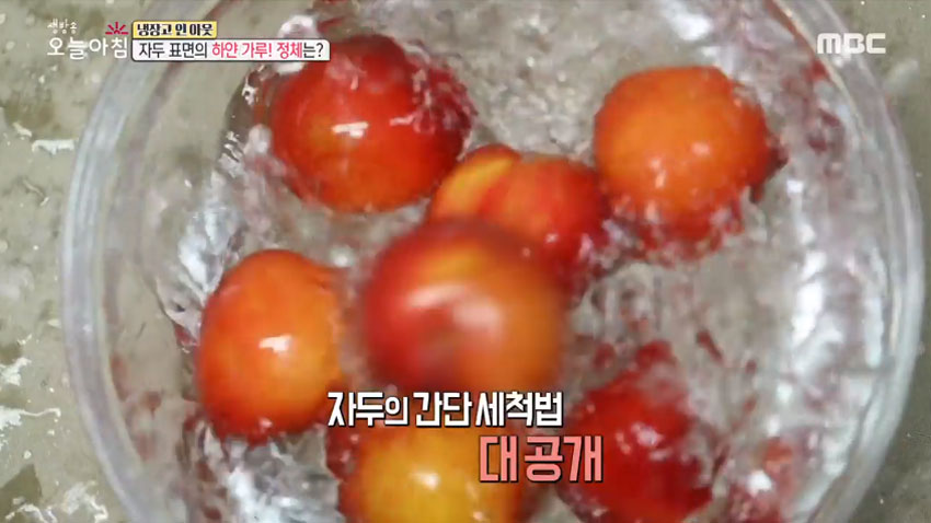[살림 꿀팁!] 여름철 대표 과일 '자두' 의 모든 것! 2편- 후숙성 법 및 간단 세척법!